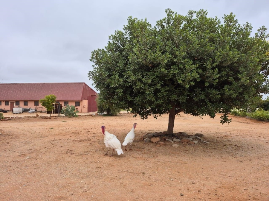 4 Bedroom Property for Sale in Vredendal Rural Western Cape